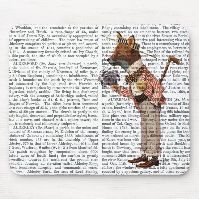 Fox i Boater Musmatta (Framsidan)