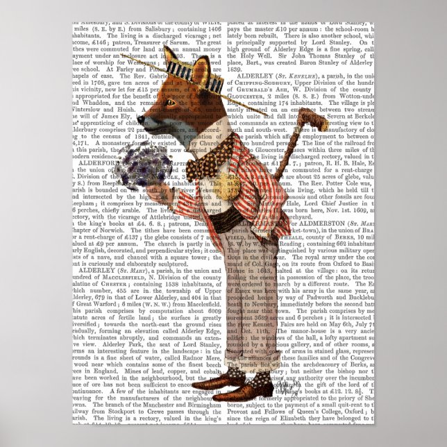 Fox i Boater Poster (Framsidan)