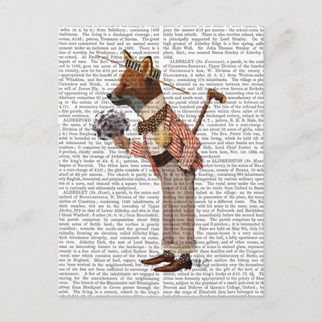 Fox i Boater Vykort (Framsida)