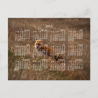Fox i gräsmattan, 2013 års kalender vykort