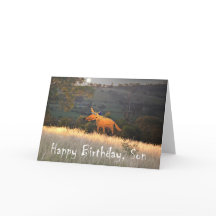 Fox i Moonlight, Grattis på födelsedagen Son, humo