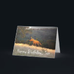 Fox i Moonlight, Grattis på födelsedagen Son, humo Kort<br><div class="desc">En tecknad teckning av ett ingefält i månljuset. Det finns en måne på natten himlar och " Grattis på födelsedagen Son " står skriven grund på kortet,  humor</div>