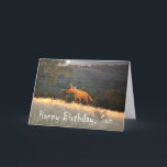 Fox i Moonlight, Grattis på födelsedagen Son, humo Kort<br><div class="desc">En tecknad teckning av ett ingefält i månljuset. Det finns en måne på natten himlar och " Grattis på födelsedagen Son " står skriven grund på kortet,  humor</div>
