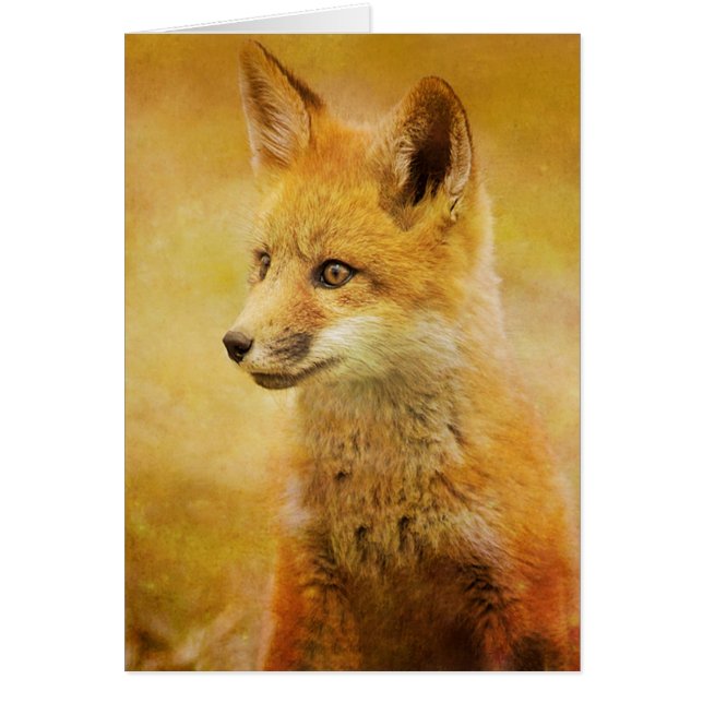 Fox i skogen hälsningskort (Framsidan)