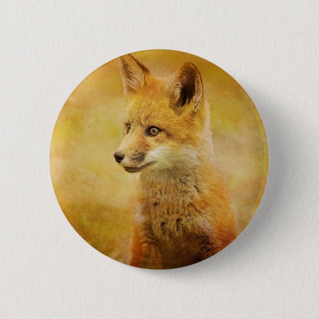 Fox i skogen knapp (Framsida)