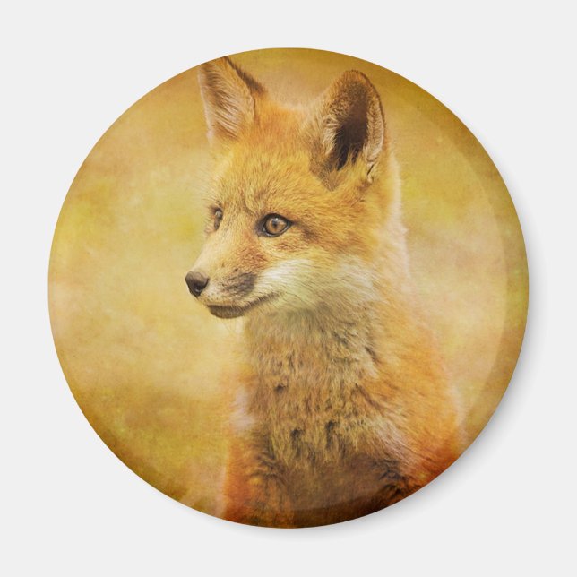 Fox i skogen magnet (Framsidan)