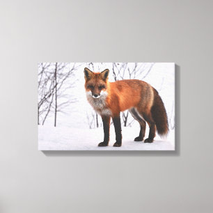 Fox i Snö Canvastryck