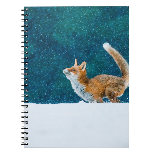 Fox i snöfall. Röda räv, vulpes vulpes, hoppa i Anteckningsbok (Framsidan)