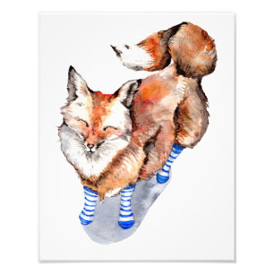 Fox i socklar fototryck