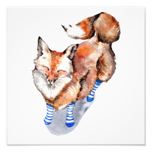 Fox i socklar fototryck