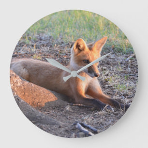 Fox i solljus stor klocka