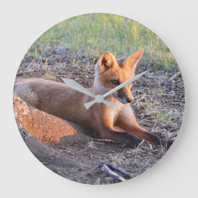 Fox i solljus stor klocka (Framsida)