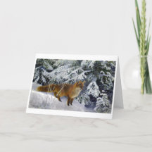 Fox in Winter (1904) av Bruno Liljefors