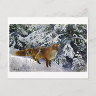 Fox in Winter (1904) av Bruno Liljefors Vykort
