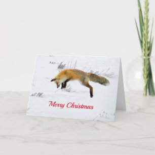 Fox Jumping Snö Photo Helgkort