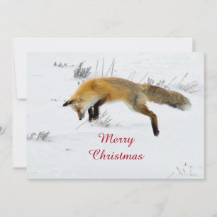 Fox Jumping Snö Photo jul Flat Julkort