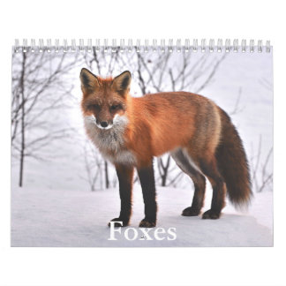 Fox-kalender Kalender