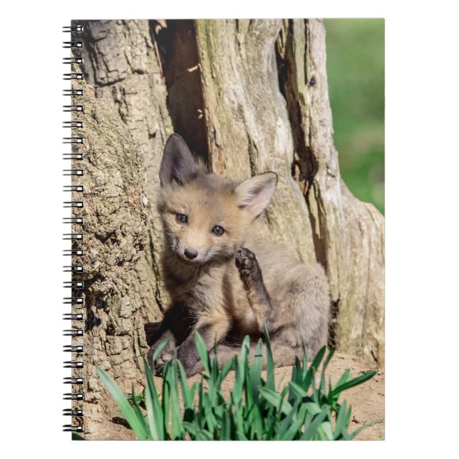 Fox Kit i Hudson Valley Anteckningsbok (Framsidan)