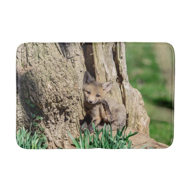Fox Kit i Hudson Valley Badrumsmatta (Framsidan)