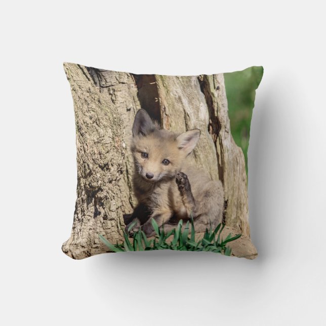 Fox Kit i Hudson Valley Kudde (Framsida)