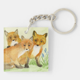 Fox Kits