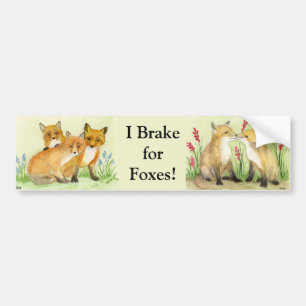 Fox Kits Bildekal