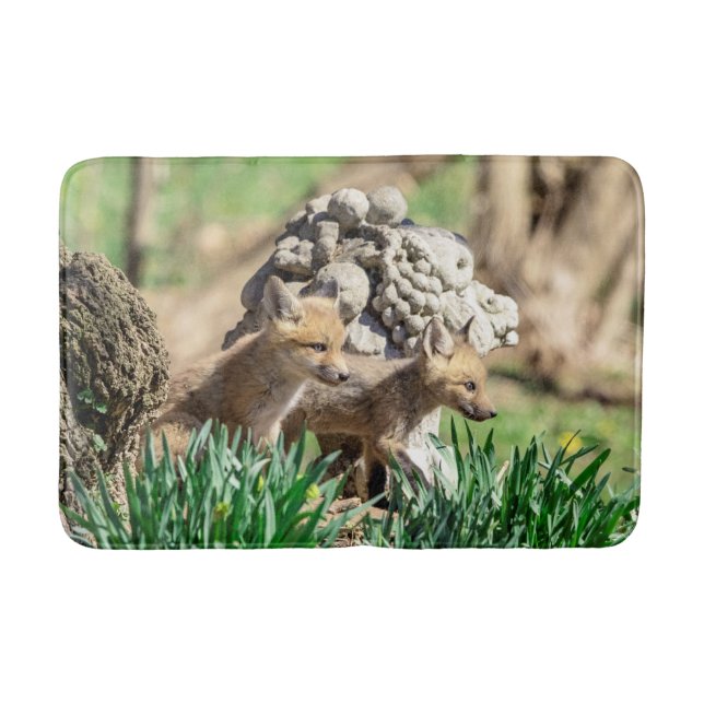 Fox Kits i Hudson Valley Badrumsmatta (Framsidan)