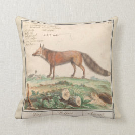 Fox Kudde