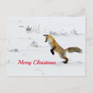 Fox Leaping Snö Photo jul Vykort