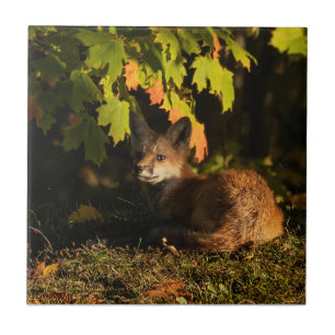 Fox-Löv och skuggor Kakelplatta