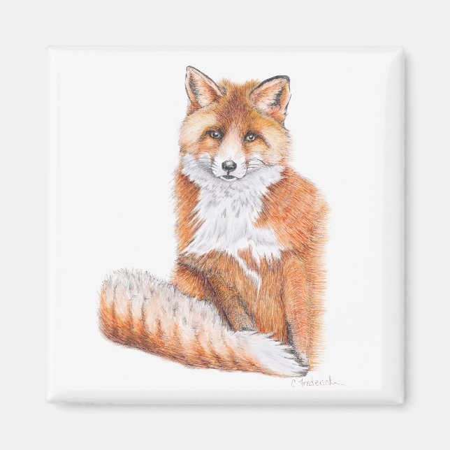 Fox Magnet (Framsidan)