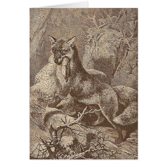 Fox med hans Döda Hälsningskort (Framsidan)