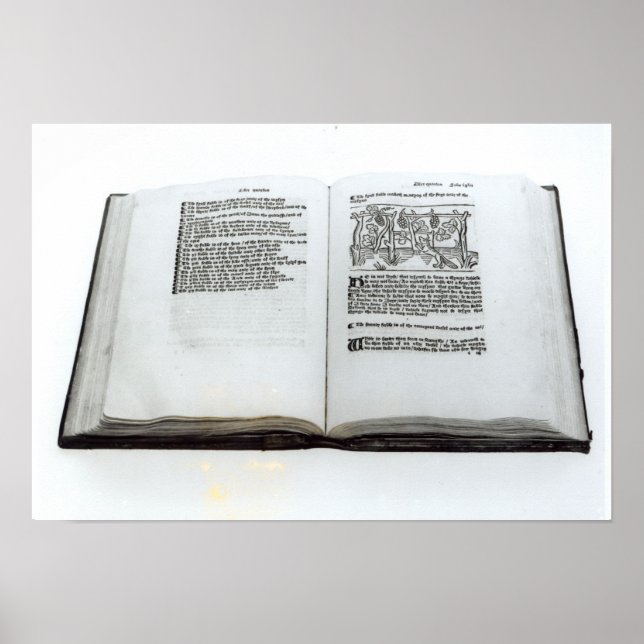 Fox och graderna poster (Framsidan)