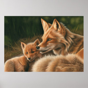 Fox och Unge Poster