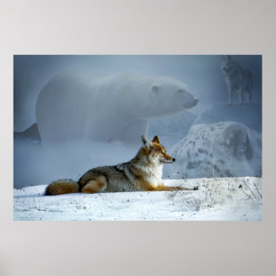Fox och vänner poster