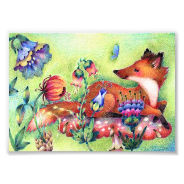 Fox på ett svamp - Cute Animal Art Fototryck (Framsidan)