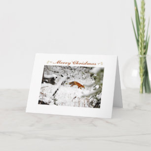 Fox på snö-fotojulkort på vintern helgkort