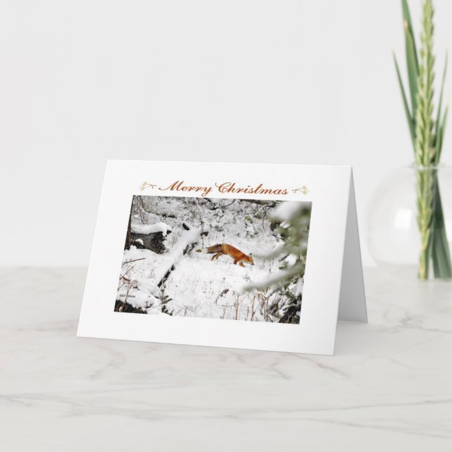 Fox på snö-fotojulkort på vintern helgkort (Framsida)