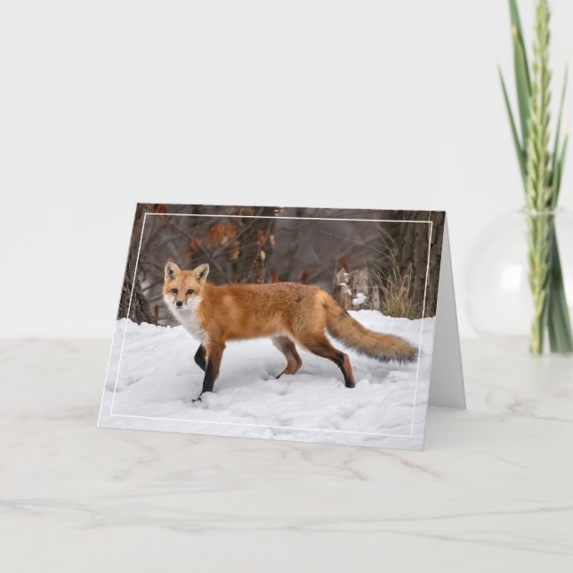 Fox på Snö-julkortet Kort (Framsida)