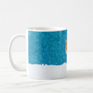 Fox på vintern. Röda rävar, vulpes vulpes, sniffar Kaffemugg