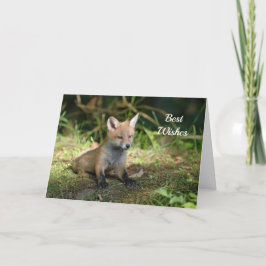 Fox Photo Grattiss Bröllop-kort Kort