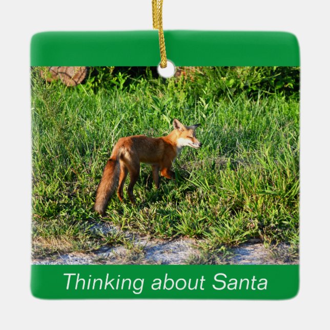 Fox Photo Ornament (Framsida)