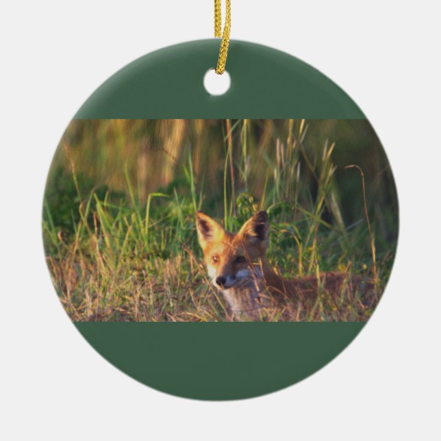 Fox Photo Ornament (Framsidan)