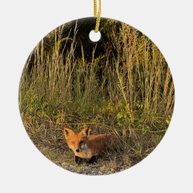 Fox Photo Ornament (Framsidan)