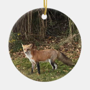 Fox Photo Ornament