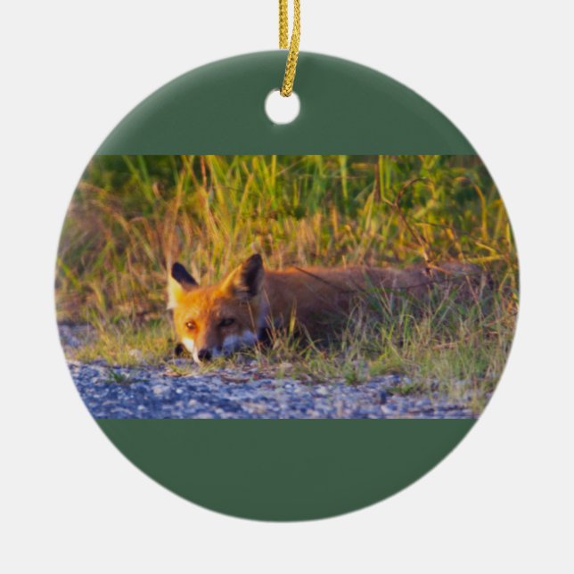 Fox Photo Ornament (Framsidan)