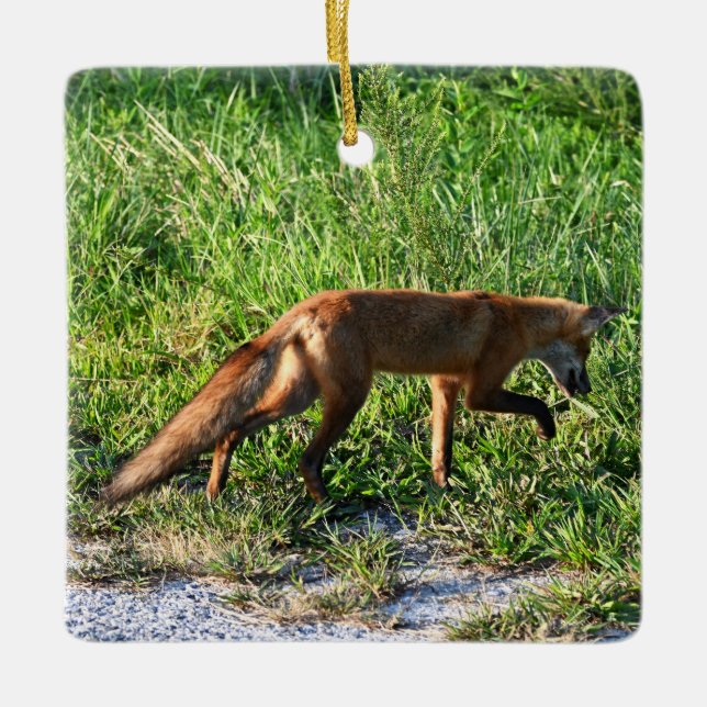 Fox Photo Ornament (Framsida)