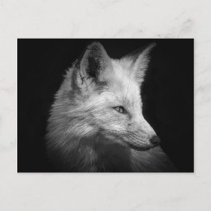 Fox Porträtt vykort