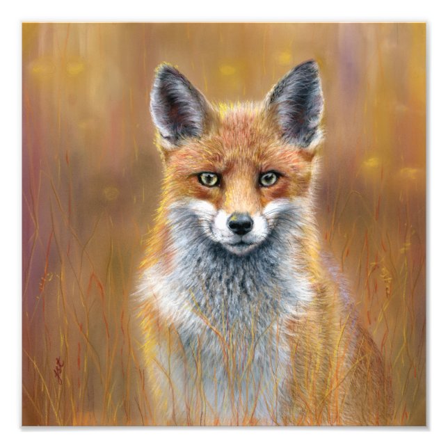 Fox poster (Framsidan)