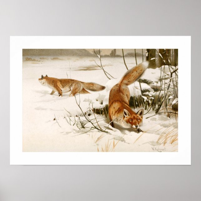 Fox Poster (Framsidan)